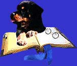 Lycos Homepage