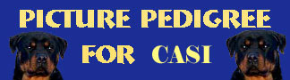 Click here to view Casi's Pictorial Pedigree