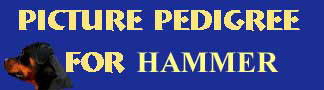 Click here to view Hammer's Pictorial Pedigree