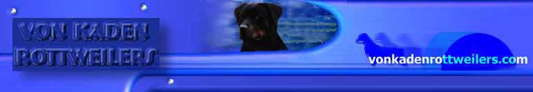 von Kaden Rottweilers   |   rottweiler stud dogs