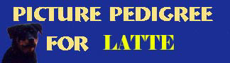 Click here to view Latte's Pictorial Pedigree