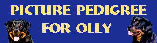 Click here to view Olly's Pictorial Pedigree