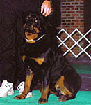 Click to enlarge image of Doc von der Reuthwiese