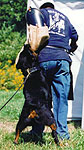 Click to enlarge image of Doc von der Reuthwiese
