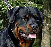 GRENDLE VON KADEN