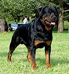 Click to enlarge image of Grendle von Kaden
