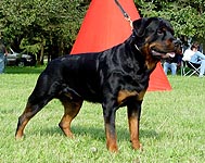 GRENDLE VON KADEN