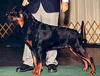 CHIEF JUSTICE VON KADEN